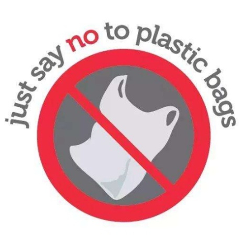 Čilė oficialiai uždraudė plastiko įstatymą