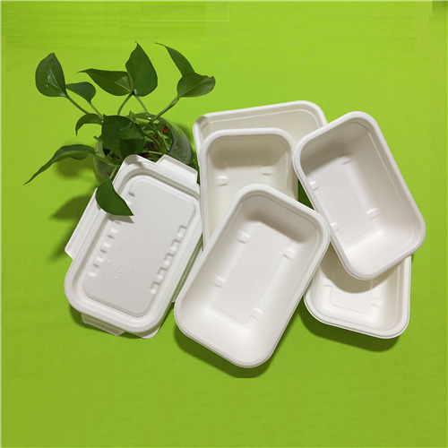 bagasse indų pranašumai