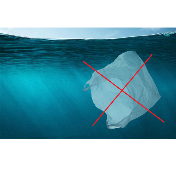 Pietų Korėja uždraudė vienkartinius plastikinius maišelius