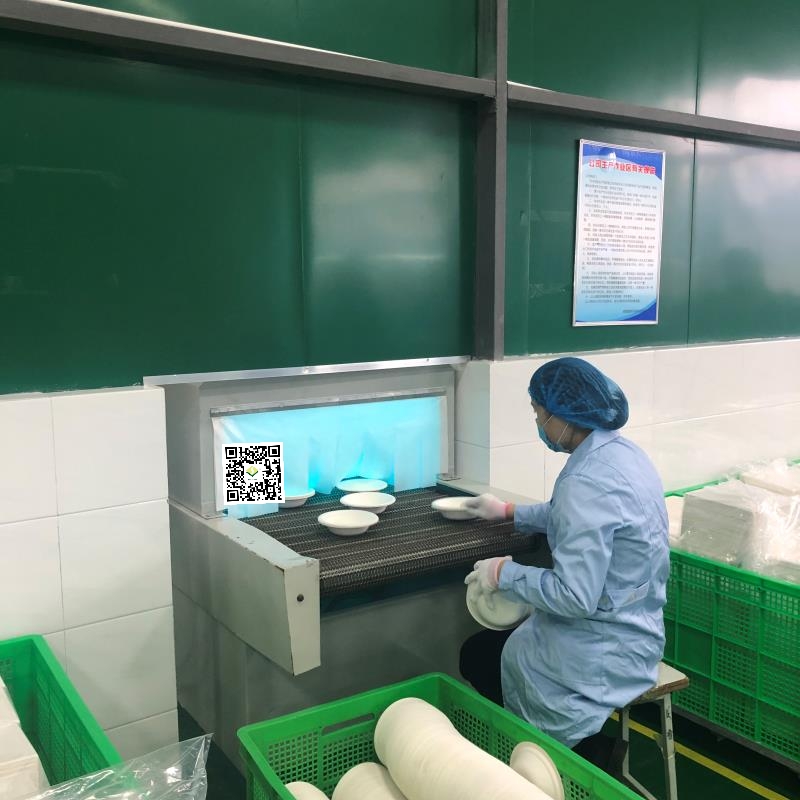 Klientas apsilanko cukranendrių maišų indų gamykloje