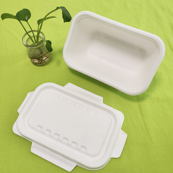 „Shenglin Packaging“ Užsienio prekybos departamentas surengė žinių mainų konferenciją apie bagaso indus