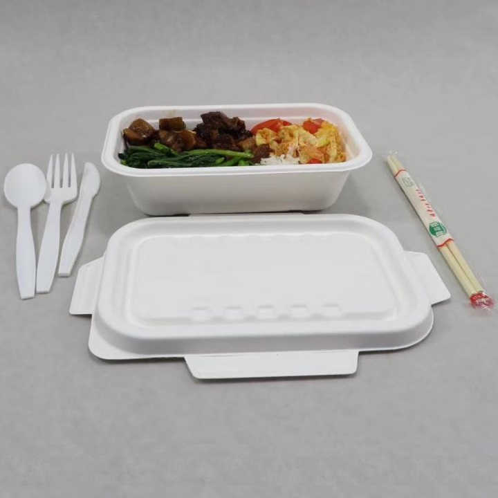 „Shenglin Packaging“ „Bagasse“ stalo indų dėklų dalijimosi konferencija