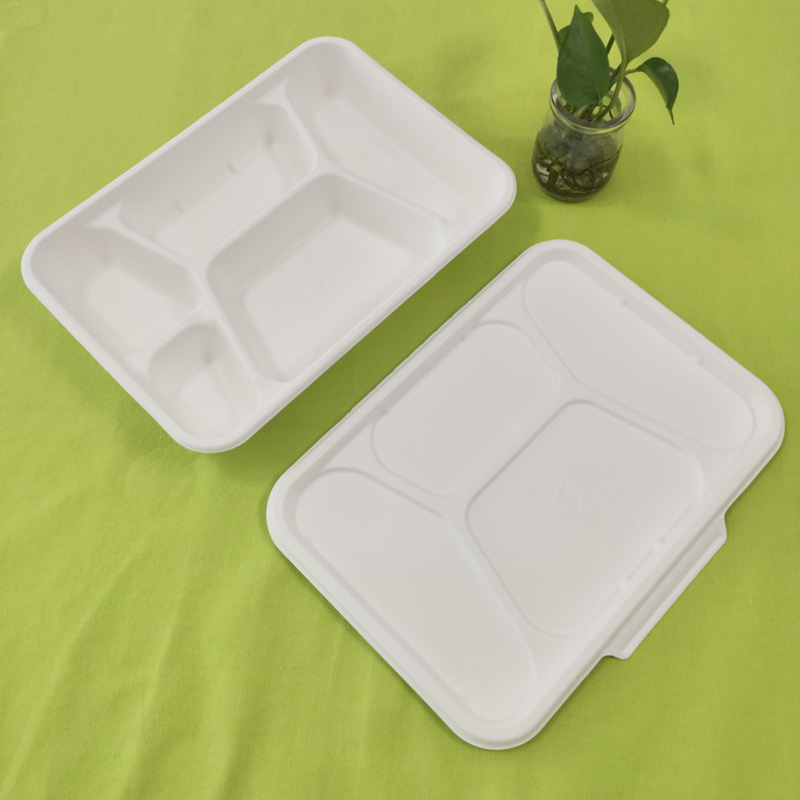 bagasse 5 skyrių padėklas su dangteliu